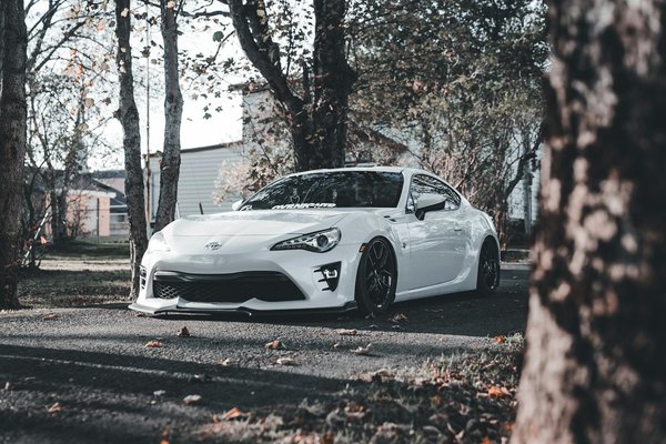 Welche Rolle spielt Bewegung im Leben von Haustieren?